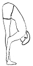 flex fwd bend